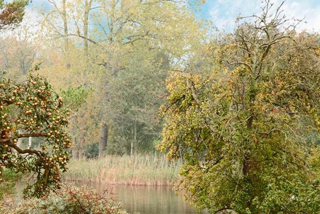 Duenen-Residenz B 05 Lägenhet Heringsdorf  Exteriör bild